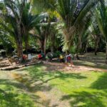 Cultural Experience, Belize - Who Will Love This Tour?