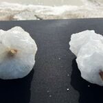 Cultural Salt Picking Experience in Anguilla - Final Thoughts