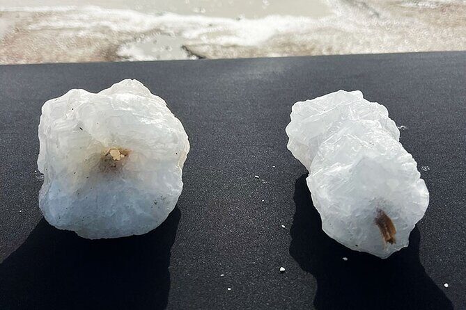 Cultural Salt Picking Experience in Anguilla