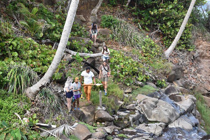 Cultural Tours Of Kalinago Territory of Dominica with Past Chief - Frequently Asked Questions