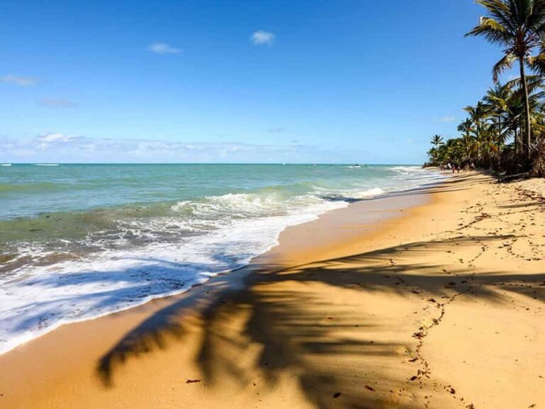 Cumbuco Beach, Lagoa do Catu, and Local Culture in One Day - Final Thoughts