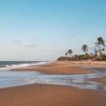 Cumbuco in 1 Day: Unforgettable Tour - The Practical Details: Transportation, Cost, and Booking