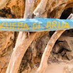 Curacao Atv tour West Adventure - The Sum Up