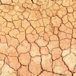 Curaçao Cave Kunuku and Cas Abou Jeep Safari Adventure - A Practical Look at the Tour Experience