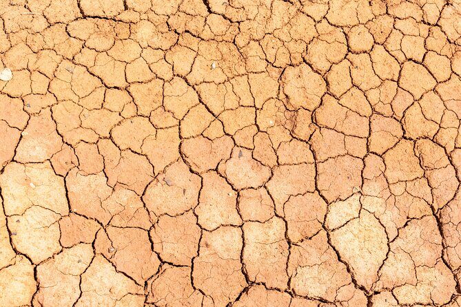 Curaçao Cave Kunuku and Cas Abou Jeep Safari Adventure - A Practical Look at the Tour Experience