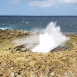 Curacao Private Tour and Activity Experience (4 up to 13 people) - Who Should Book This Tour?