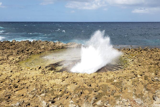 Curacao Private Tour and Activity Experience (4 up to 13 people) - Who Should Book This Tour?