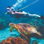 Curacao Sea Trek Snuba Combo Walk Tour and Dive the Ocean - An In-depth Look at the Curacao Sea Trek Snuba Combo
