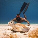 Curaçao Seabob in Playa Piskado Adventure with Sea Turtles - Who Should Consider This Tour?