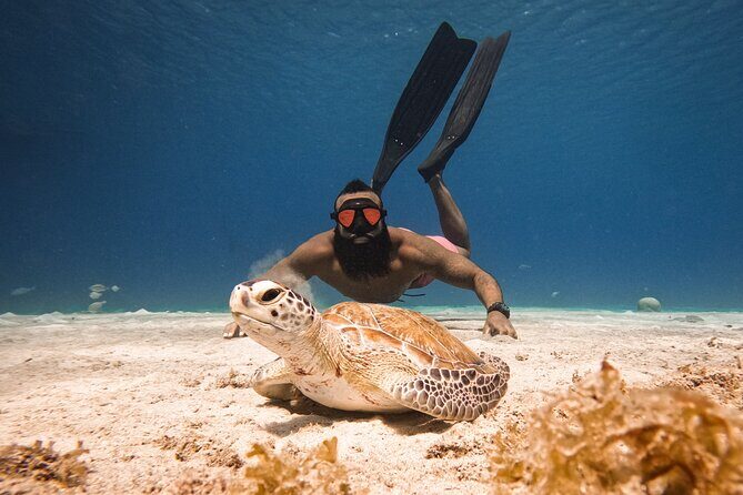 Curaçao Seabob in Playa Piskado Adventure with Sea Turtles - Who Should Consider This Tour?