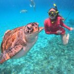 Curacao: Swimming with Sea Turtles meets Sea turtle beach - The Sum Up: Is This Tour Right for You?