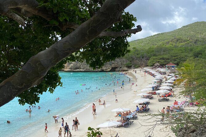 Curacao's Beaches & Blowholes: Exclusive 4-Hour Private Tour - The Practicalities: What’s Included and What to Consider