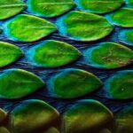 Curi Cancha Nature Experience - Who Should Consider This Tour?