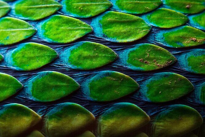 Curi Cancha Nature Experience - Who Should Consider This Tour?