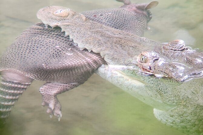 Curú Wildlife Refuge With Transportation - Frequently Asked Questions