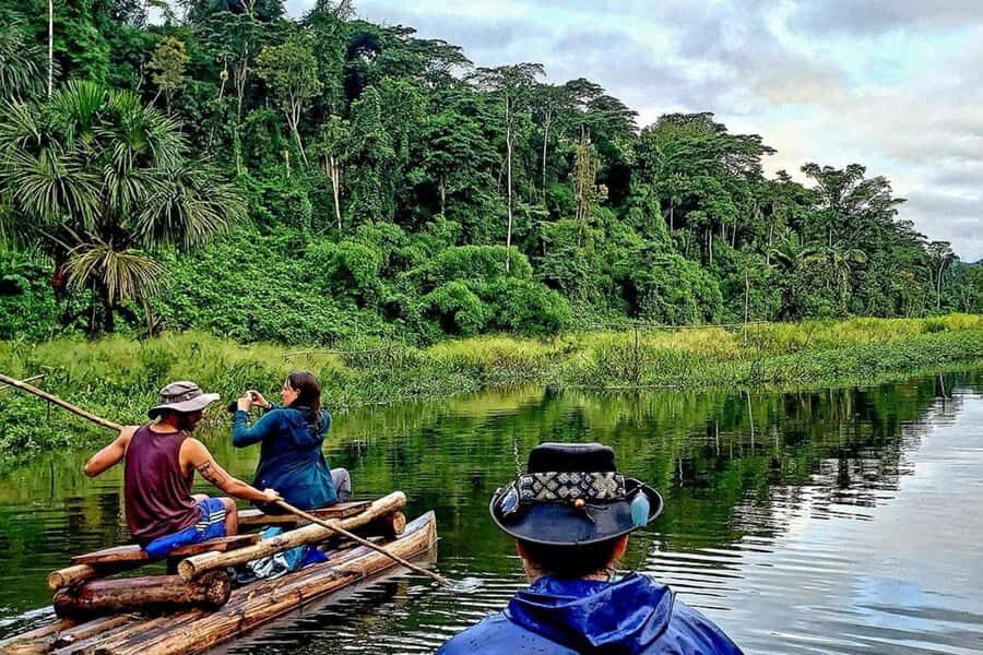 Cusco: 3-Day Tambopata Peruvian Amazon Jungle Tour - A Closer Look at the Amazon Jungle Tour