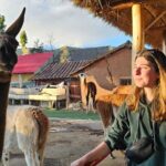 Cusco: Alpaca and Llama Farm Tour with Transfer & Weaving Demo - Exploring Cusco’s Alpaca and Llama Farm: What to Expect