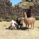Cusco: Alpaca Therapy in the Cuyo Chico community |Half day| - In-Depth Review of the Alpaca Therapy Tour
