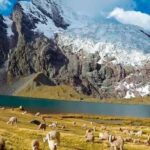 Cusco: Ausangate Tour 7 Lagoons full day - Who Should Book This Tour?