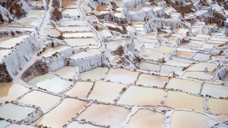 Cusco: Aventura Cuatrimoto en Moray y Salineras medio dia - Who Will Love This Tour?