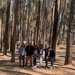 Cusco City Tour - Who Is This Tour Best For?