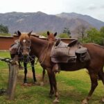 Cusco: Full-Day Horseback Riding Tour to Maras & Moray - In-Depth Breakdown of the Itinerary