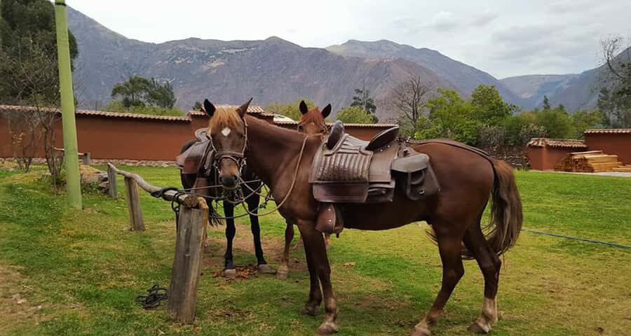Cusco: Full-Day Horseback Riding Tour to Maras & Moray - In-Depth Breakdown of the Itinerary