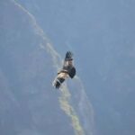 Cusco: Full-Day Sacred Valley of the Incas Tour - A Deep Dive into the Sacred Valley Tour