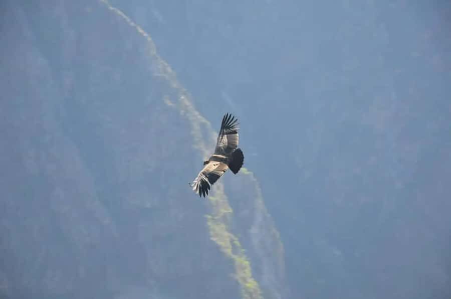 Cusco: Full-Day Sacred Valley of the Incas Tour - A Deep Dive into the Sacred Valley Tour