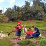 Cusco: Half-Day City Tour with Inca Ruins - What Sets This Tour Apart