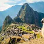 Cusco: Machu Picchu Afternoon Tour with Guide - What Makes This Tour Stand Out?