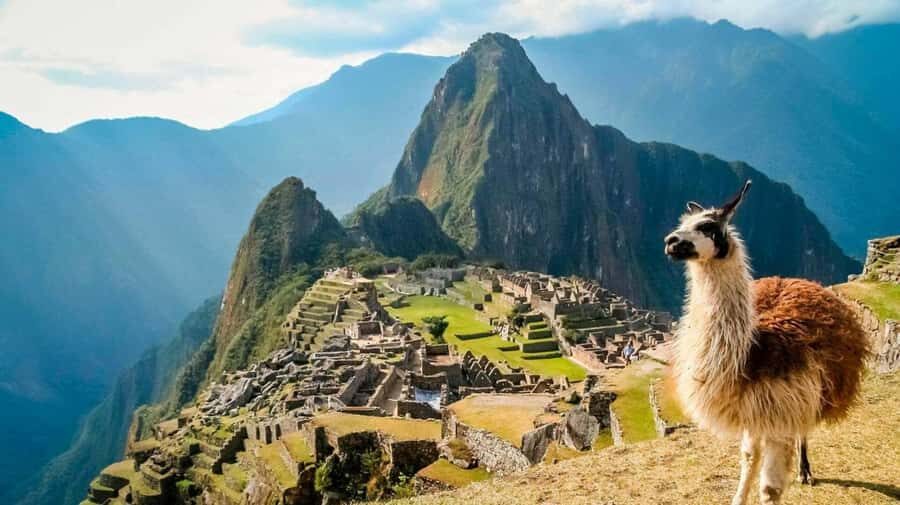 Cusco: Machu Picchu Afternoon Tour with Guide - What Makes This Tour Stand Out?