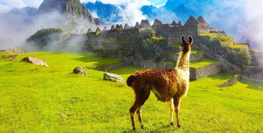 Cusco : Machupicchu + Lunch | Full Day - Transportation: A Central Part of the Experience