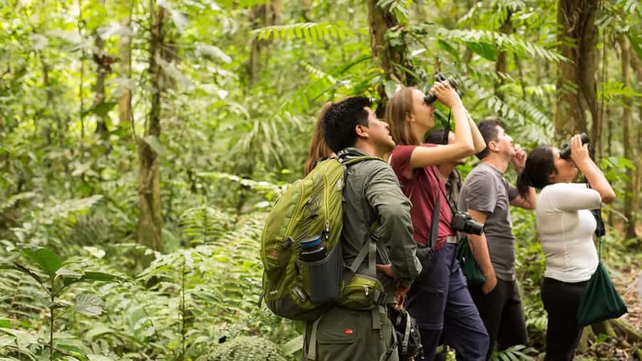 Cusco | Manu Jungle Excursion 7D/6N | Wonders of Manu - What Makes This Tour Stand Out?