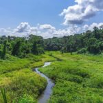 Cusco: Manu National Park Tour with Accommodation - A Deep Dive into the Manu National Park Experience