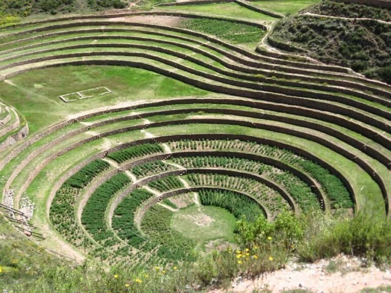 Cusco: Moray and Salineras de Maras | Private | - A Deep Dive Into the Experience