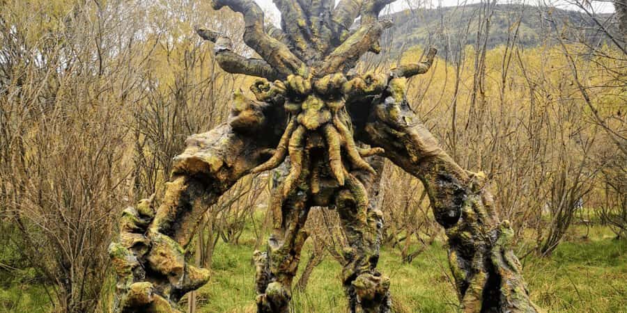 Cusco Mystic | Huasao, Valley of the Elves, Morada | - Detailed Review of the Cusco Mystic Tour