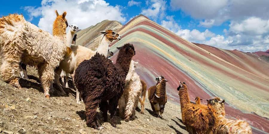 Cusco, Rainbow Mountain, and Machu Picchu 4-Day Tour - What’s Included and What to Consider