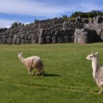 Cusco: Sacsayhuaman, Qenqo, PukaPukara, and Tambomachay Tour - Exploring Cusco’s Top Archaeological Sites