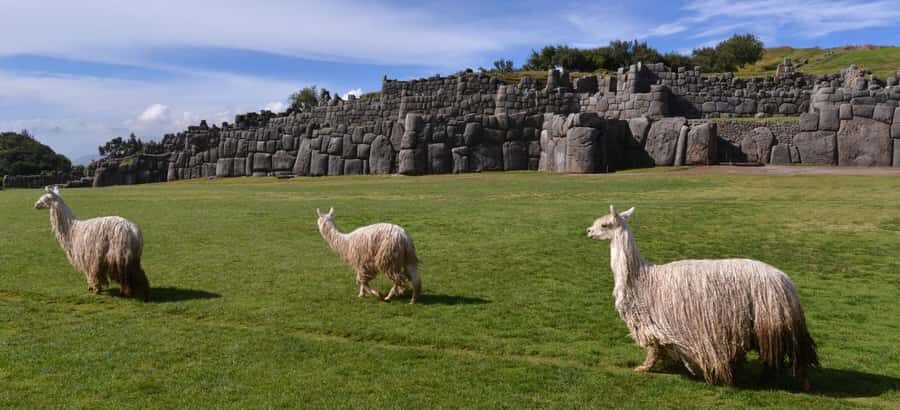 Cusco: Sacsayhuaman, Qenqo, PukaPukara, and Tambomachay Tour - Exploring Cusco’s Top Archaeological Sites