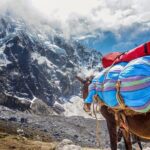 Cusco: Salkantay Trek - Hike to Machu Picchu 5D/4N - Tickets Incl - FAQs