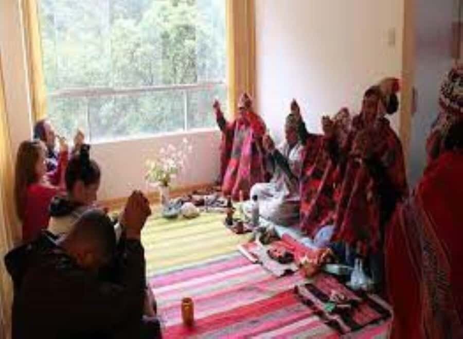 Cusco: San Pedro or Wachuma Ceremony | Private - The Practical Details: Is It Worth the Price?