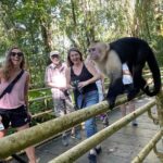 Customizable guided tour of Manuel Antonio National Park - Final Thoughts
