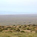 Dama Island or Chañaral Navigation Tour Humboldt Penguin Reserve - Final Thoughts