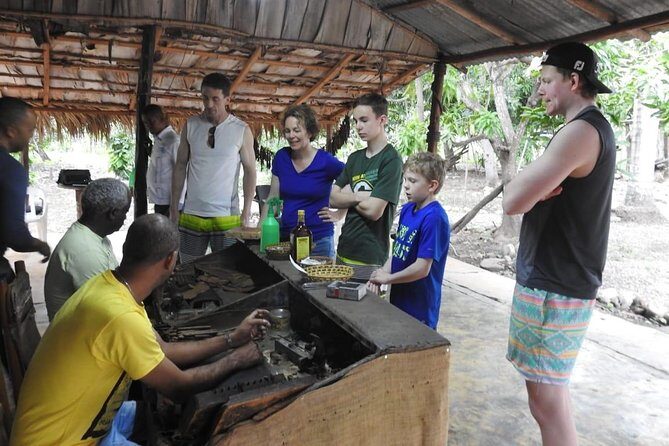 Damajagua Waterfalls for Amber Cove - Who Is This Tour Best For?