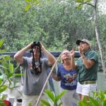 Damas Island by Boat Tour From Manuel Antonio - How Does It Compare?