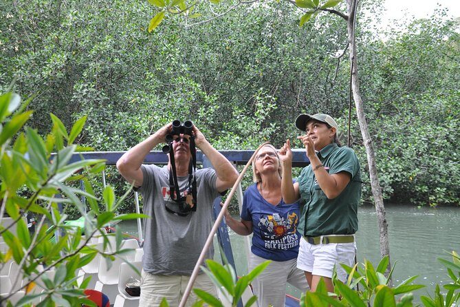 Damas Island by Boat Tour From Manuel Antonio - How Does It Compare?