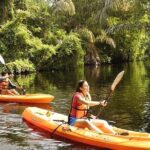 Damas Island Kayaking Tour From Manuel Antonio - Who is This Tour Perfect For?