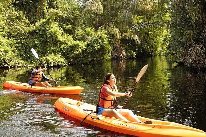 Damas Island Kayaking Tour From Manuel Antonio - Who is This Tour Perfect For?