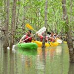 Damas Island Mangrove Kayaking Tour from Manuel Antonio - A Detailed Look at the Damas Island Mangrove Kayaking Tour